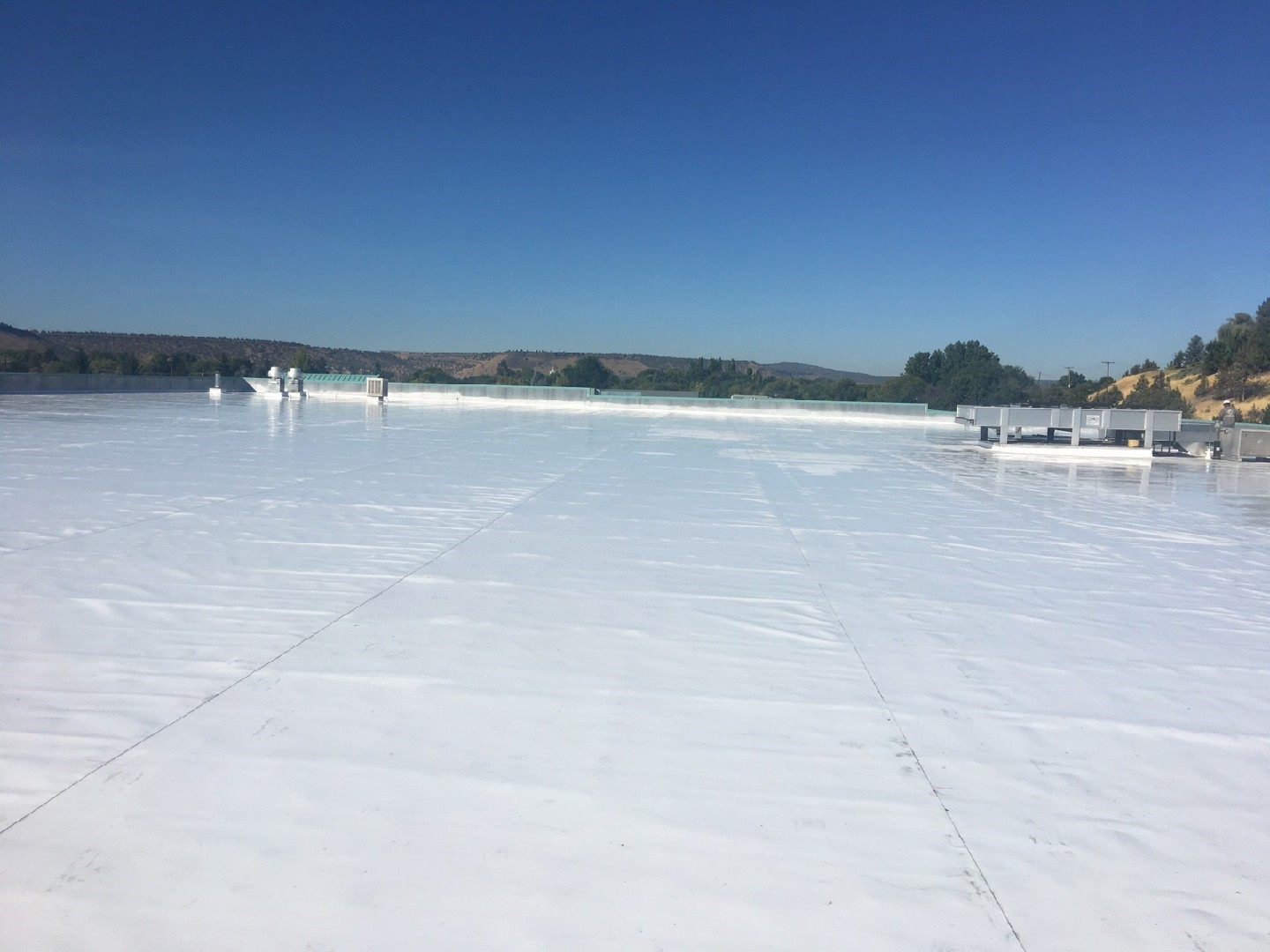 Commercial and Residential Roofing Contractor
